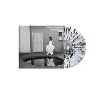 Crossing I's Dotting T's - I Used To Be [Vinilo]