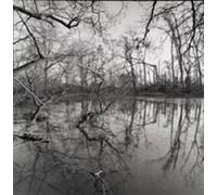 Crossing the Water by Nicholas Sinclair (1999-01-01)