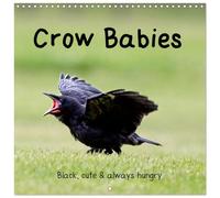 Crow Babies - Black, cute & always hungry (Wall Calendar 2026 12" x 24" / 30 x 60 cm (open)) CALVENDO 12 Month Wall Calendar