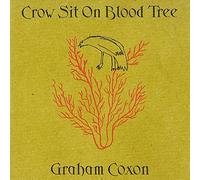 Crow Sit On Blood Tree