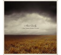 Crowley, Adrian - I See Three Birds Flying