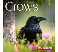 Crows 2026 Calendar: A Year of Captivating Bird Photography