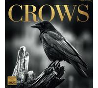 Crows Calendar 2025: A Year of Intelligent Beauty: Celebrating the Mystery and Intelligence of Crows