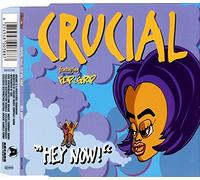Crucial Feat. Flip Da Scrip - Hey Now
