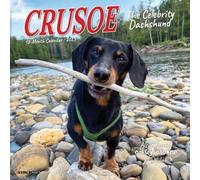 Crusoe the Celebrity Dachshund 2025 Mini