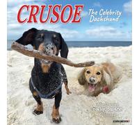Crusoe the Celebrity Dachshund 2026 Wall Calendar