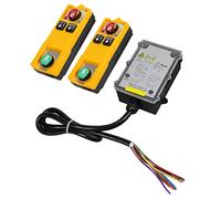 Cryfokt Control Remoto Industrial IP68, Control Inalámbrico para Grúas, Remoto de Grúa de Polipasto de Tecnología Inteligente con Caja de ABS, Distancia de de 100 M (DC 24V)