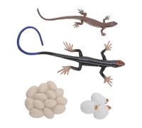 Cryfokt Figuras de Juguete del Ciclo de Vida de Skink, Detalles Realistas, Juguetes Educativos del Ciclo de Vida de los Animales, Figuras de Animales de PVC para Niños con Juego de 4 Piezas para Que