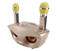 Cryfokt Home KTV Karaoke Altavoz con Dos Micrófonos, Inalámbrico de Entretenimiento para Cantar en Familia, para Fiestas en Casa/reuniones Familiares (Gold)