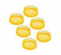 Cryfokt Juego de Cajas de Cría de Abeja Reina, 6 Piezas, Herramientas de Apicultura Premium para un Aislamiento Seguro de la Abeja Reina, Hechas de Material ABS Duradero