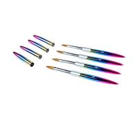Cryfokt Juego de Pinceles para Decoración de Uñas, Pelo Suave y Flexible para Estudio Profesional, Tubo de Aluminio, Ergonómico, 4 Pinceles de Gel para Extensión de Uñas para Pintar y Dibujar