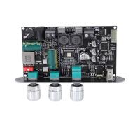 Cryfokt Placa Amplificadora Bluetooth, Módulo AMP Estéreo 5.3 de 100 W, Amplificador TPA3116D2 con Emparejamiento Inalámbrico Verdadero, Entrada USB AUX, Aumento de Voltaje Inteligente para Altavoces