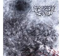Frozen Soul - Crypt Of Ice