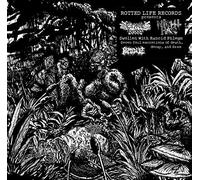 Cryptic Brood & Nigh Hag - Swollen With Rancid Phlegm [Vinilo]