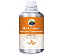 Crysalis Black Currant (Ribes nigrum) Oil - 5000 ml/169 Fl oz