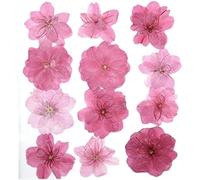 Crysdaralovebi 120 flores secas prensadas mezcladas de flores de cerezo naturales, herbario, resina epoxi, joyería, maquillaje, cara, uñas, manualidades, manualidades