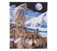 CRYSTAL ART El Centinela 40 x 50 cm Kit enmarcado retrato