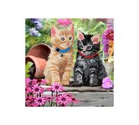 CRYSTAL ART Kit de tarjeta de bordado de diamantes 18x18cm Gatitos