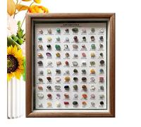 Crystal Collection - y minerales, 80x muestras minerales para la colección Rock | Decoración del hogar, clásicos de piedra, vidrio rugoso en un marco de madera 10.83x8.86 pulgadas