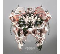 The Weight Of Sound [Vinilo]