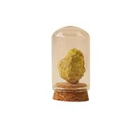 Crystal Stone World in Bottle - Raw Gemstone Vial with Fluorite, Quartz, Calcite, Lapis, Tiger Eye for Collection & Gift(Orpiment)