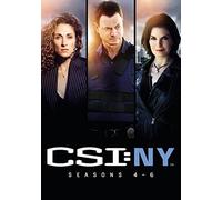 CSI: New York Season 4-6 Boxset [DVD]