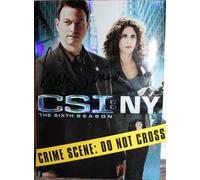 Csi: New York - The Sixth Season [Reino Unido] [DVD]