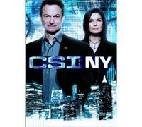 CSI: NY - The Final Season (DVD) (Importación USA)