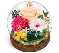CSYY Rosa Eterna, Regalo para el día de la Madre Luces LED Flor Preservada Bola de Cristal Vidrio Claveles Preservados Infinito Flor Eternos Mujeres Mamá Novia Esposa Día de Cumpleaños Rosa