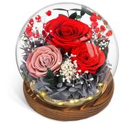 CSYY Rosa Eterna, Regalo para el día de la Mamma Luces LED Flor Preservada Bola de Cristal Vidrio Claveles Preservados Infinito Flor Eternos Mujeres Mamá Novia Esposa Día de Cumpleaños