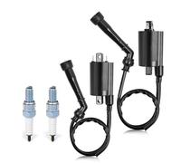 CTAB Bobinas de encendido y tapones de bujía (izquierdo y derecho) for Suzuki Intruder 800 750 VS800 VS800GL VS750 VS750GLP 1988-2004 33420/33410-38A11