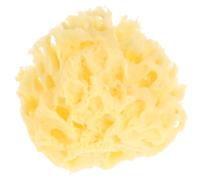 CTIRCHIU Esponja Corporal Natural de Esponja Marina Amarilla para Baño de Bebés, Blanday Versátil para Exfoliar y Humectar la Piel Delicada