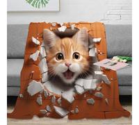 CTJQHVKZ Estampado 3D Breaking Wall Manta para Todas Las Estaciones Microfibra Ropa de Cama versátil Digital Arte frazada Suave para Estudiantes Fuera de casa 80×90inch(200x230cm)