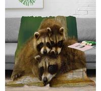 CTJQHVKZ Estampado 3D Raccoon Babies Manta de Siesta Microfibra Ropa de Cama Suave Bonito Wildlife Scene Plaid de Oficina cálido para Regalos para colegas 60x80inch(150x200cm)