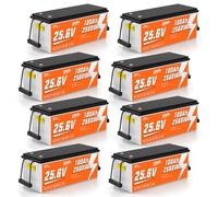 CTOLITY Batería LiFePO4 25V 100Ah, 2560Wh Litio para Camper y Solar | BMS con protección de baja temperatura, Batería Portátil y Ligera para Motor para Curricán,Barco,Off-gird