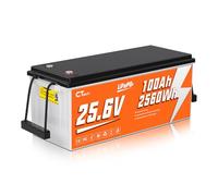 CTOLITY Batería LiFePO4 25V 100Ah, 2560Wh Litio para Camper y Solar | BMS con protección de baja temperatura, Batería Portátil y Ligera para Motor para Curricán,Barco,Off-gird