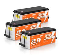CTOLITY Batería LiFePO4 25V 100Ah, 2560Wh Litio para Camper y Solar | BMS con protección de baja temperatura, Batería Portátil y Ligera para Motor para Curricán,Barco,Off-gird