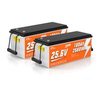 CTOLITY Batería LiFePO4 25V 100Ah, 2560Wh Litio para Camper y Solar | BMS con protección de baja temperatura, Batería Portátil y Ligera para Motor para Curricán,Barco,Off-gird