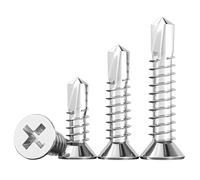 Ctyjia 100 Piezas Avellanador Tornillos Autorroscantes, M4.2x16 mm Tornillos Autoperforantes de Acero Inoxidable, para Madera, Plásticos