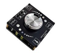 Ctzrzyt XY-AP100L 100WX2 5,0 Placa de Amplificador EstéReo AUX USB Tarjeta de Sonido Amplificador de Potencia Digital Amplificador 12V 24V