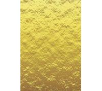 cuaderno - cuaderno dorado, oro, 120 páginas, forrado, 6x9 pulgadas, perfecto para llevar, la bolsa y la mochila, como regalo