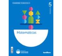 cuaderno de matemáticas 2-5º primaria (construyendo nuevos mundos) (ed