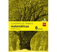 Matemáticas 6º Educacion Primaria Cuaderno 1º Trimestre Savia Ed 2015