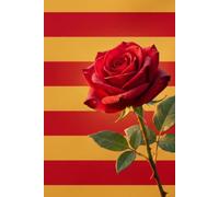 Cuaderno Sant Jordi - Rosa y Letras: Diario de amor, reflexión y escritura consciente