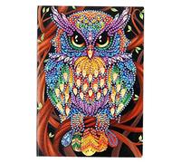 Cuadernos A5 Búho Blanco Cuadros Diamantes 5D por Número Diario Secreto para Niñas Regalo de Cumpleaños Cuaderno de Bocetos Hecho a Mano para Niñas Tiempo de Ocio 50 Hojas 120 Página