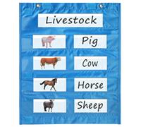 Cuadrados Magnéticos De Bolsillo Para Programa Diario Demostraciones Clases Actividades Gráfico Bolsillo En Aula Para Pizarra Blanca Pizarra Estable