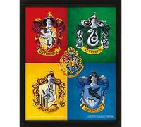 Cuadro 3D Harry Potter 4 Casas de Hogwarts 25 x 20 cm | Ideal para Decorar | Efecto Lenticular | Con Marco | Producto Oficial | Regalo Cinéfilo