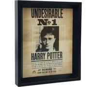 Cuadro 3D Harry Potter Patronus 25 x 20 cm | Ideal para Habitación | Efecto Lenticular | Con Marco | Producto Oficial | Regalo Cinéfilo