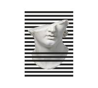 CUADRO 60X3X80 METACRILATO BUSTO PEQUEÑO