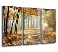 Cuadro Buda fotografico Base Madera, 97 x 62 cm, Bosque Otoño, Paisaje Naturaleza, Atardecer Ref. 26044